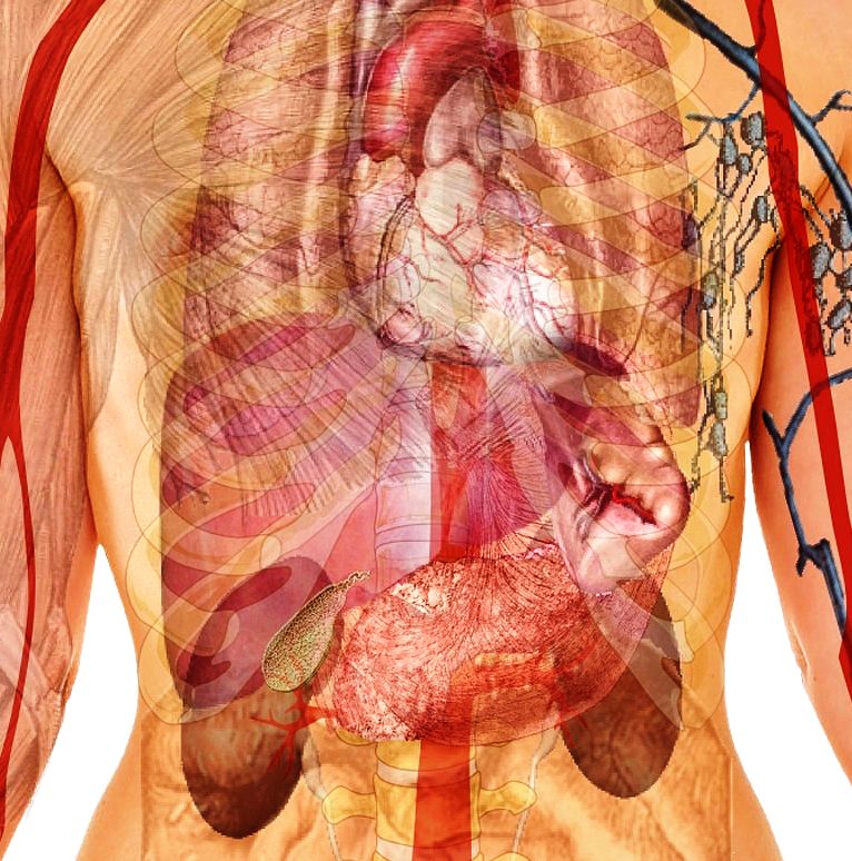 COPD und kardiorenales Syndrom